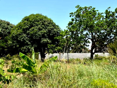 Diani 6.5acres - Image 8