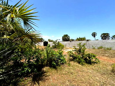 Diani 6.5acres - Image 6