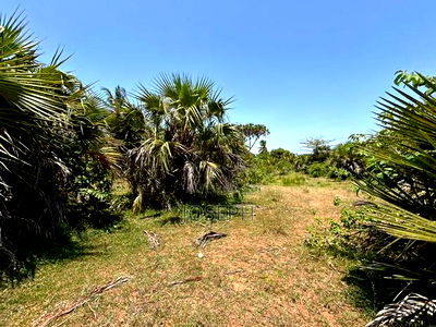 Diani 6.5acres - Image 9