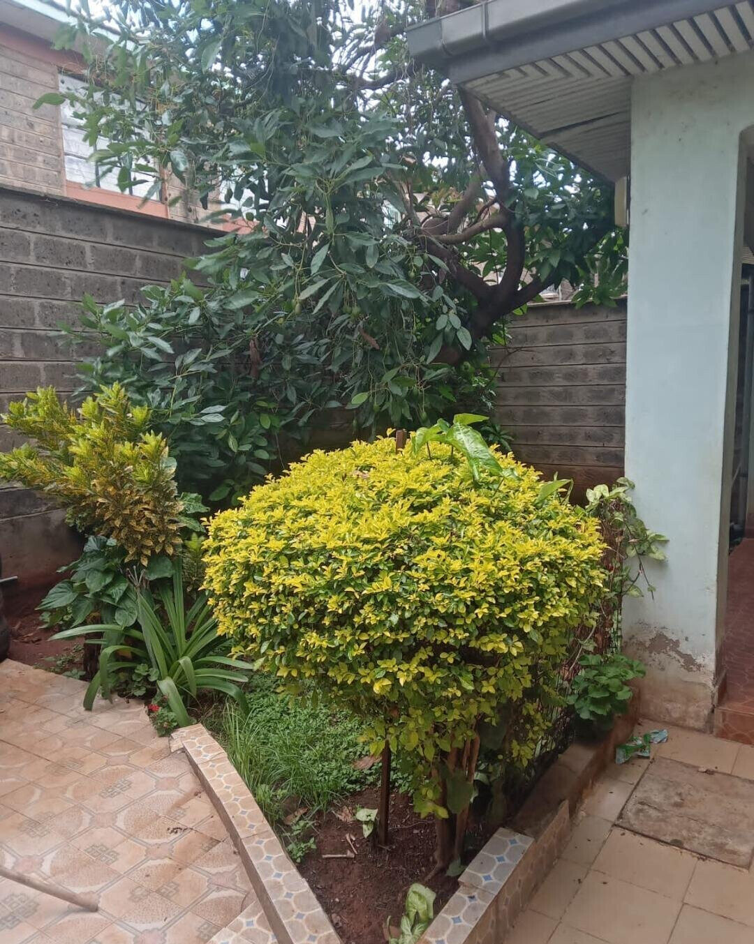 4BR All-Ensuite Maisonette with DSQ & Garden - South C Near Mosque