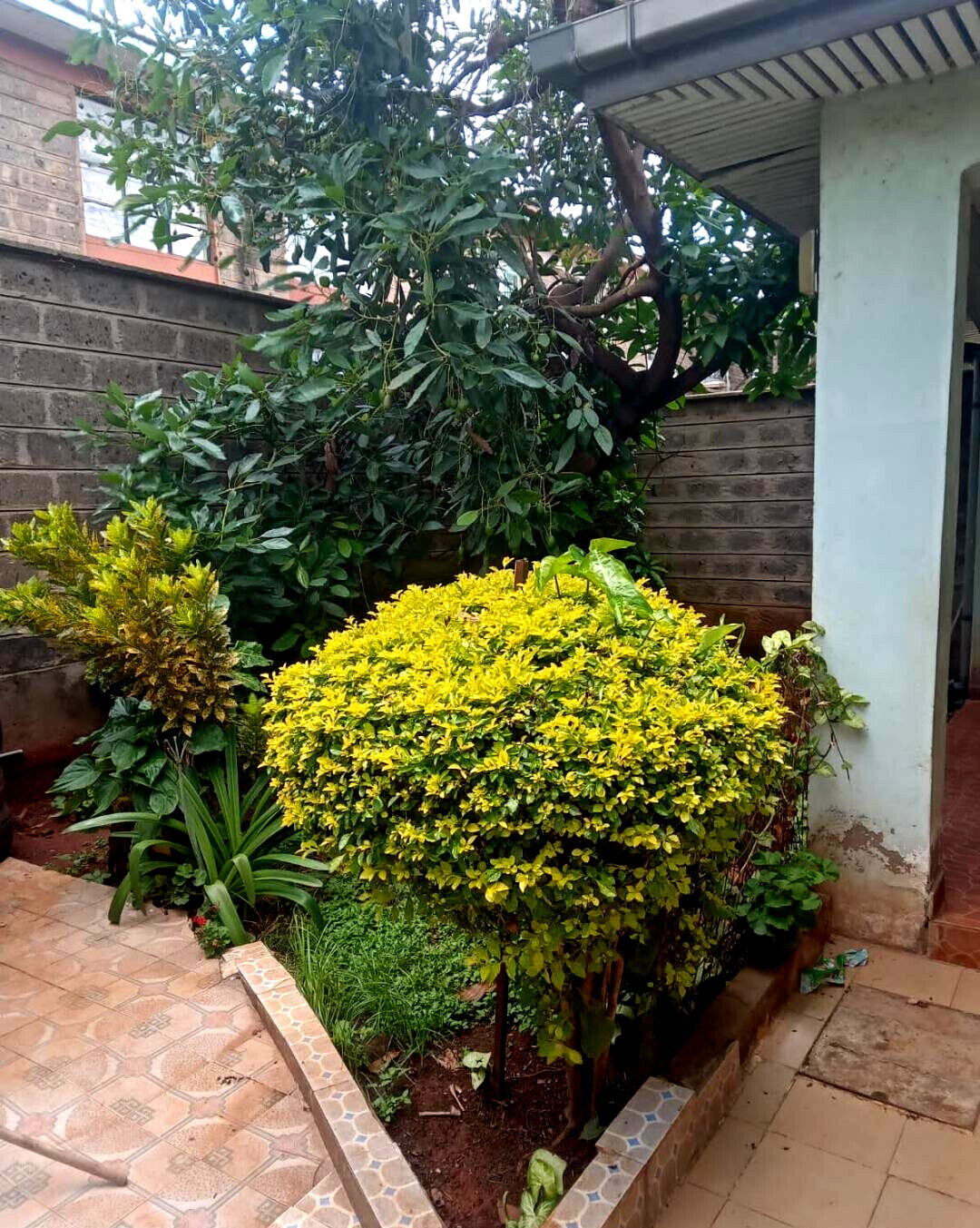 4BR All-Ensuite Maisonette with DSQ & Garden - South C Near Mosque