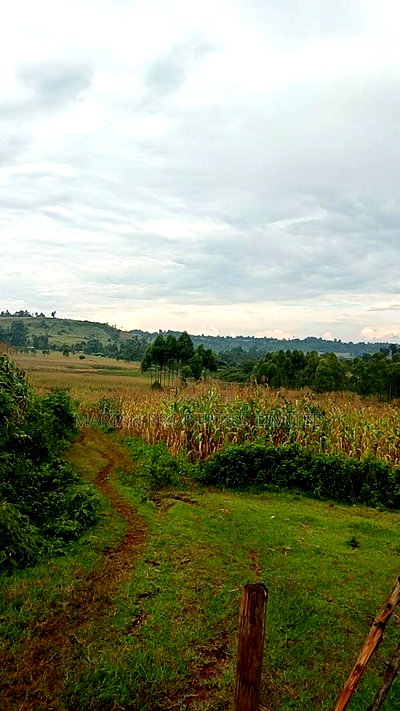 85 Acres for Sale in Soy-Kakamega - Image 2