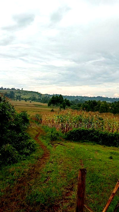 85 Acres for Sale in Soy-Kakamega - Image 3