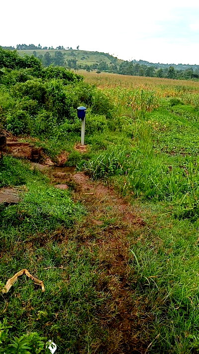 85 Acres for Sale in Soy-Kakamega - Image 4