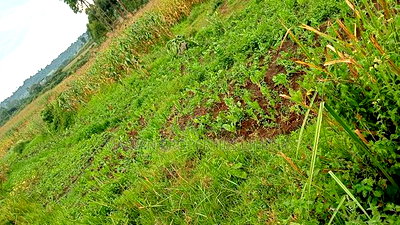 85 Acres for Sale in Soy-Kakamega - Image 5