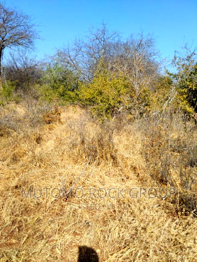 14 Acres for Sale - Image 3