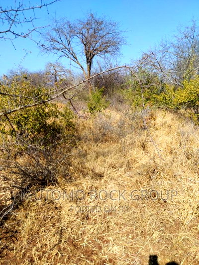 14 Acres for Sale - Image 2