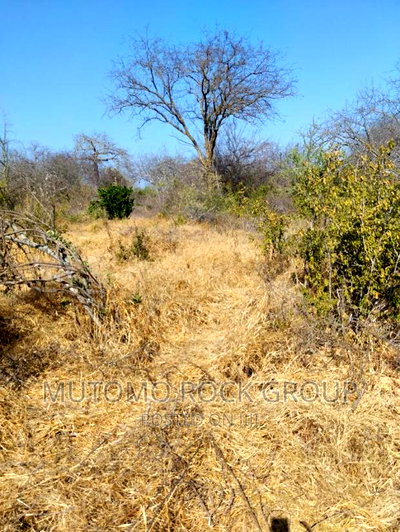 14 Acres for Sale - Image 1