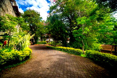 9 Acres Vacant Land for Sale in Karen (Kenya) - Image 2