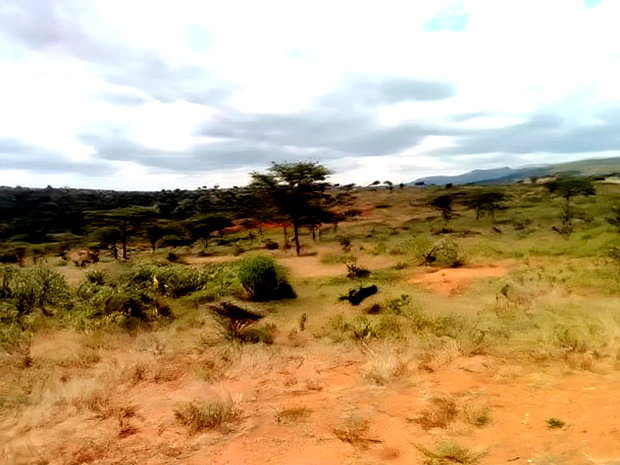10000 Acreas for Sale Nanyuki