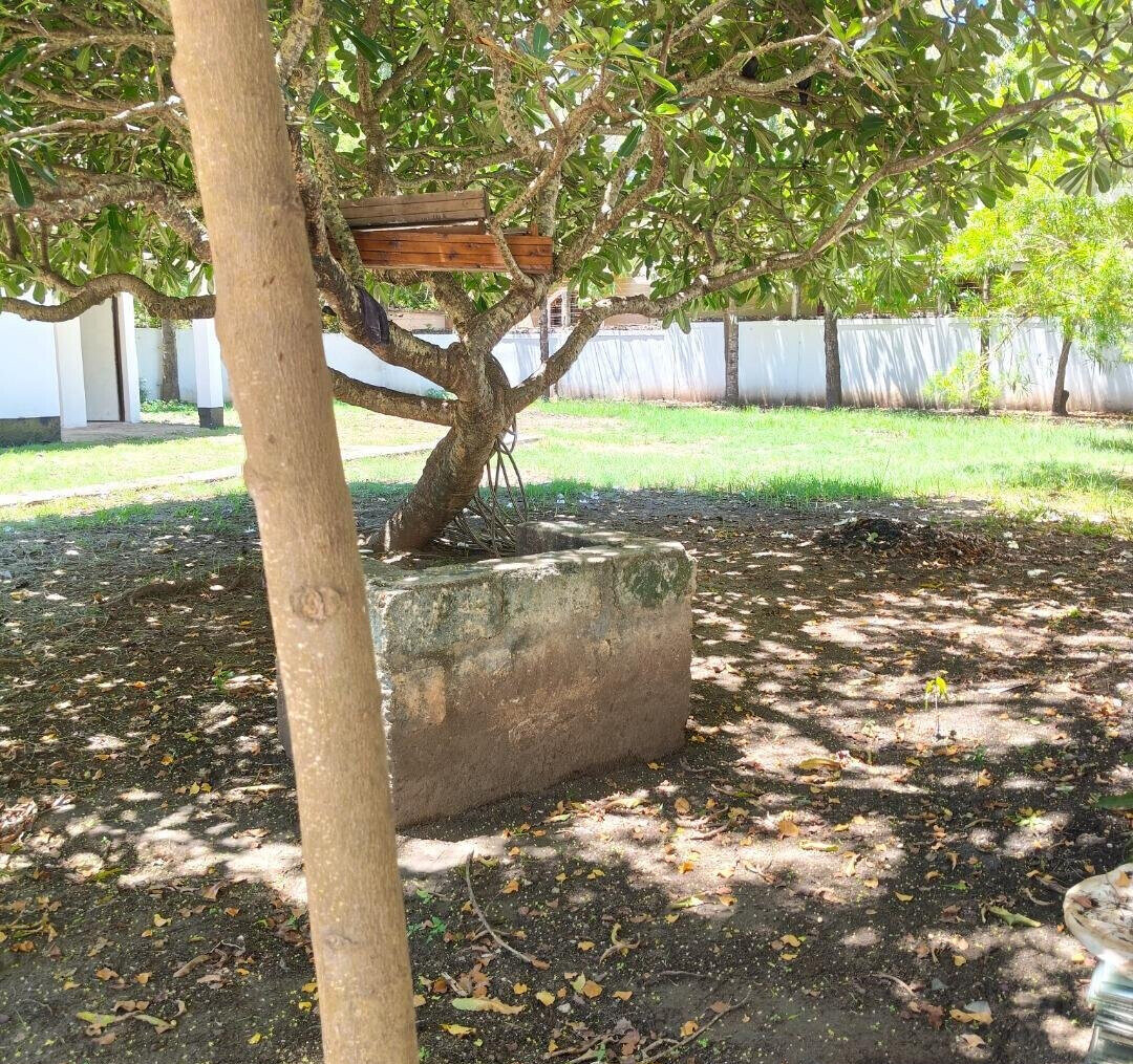 Quarter Acre Mansion with Garden