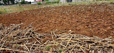 Prime Plot for Sale in Chepkoilel Sogomo in Eldoret - Image 3