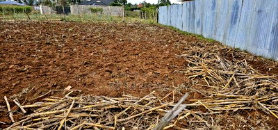 Prime Plot for Sale in Chepkoilel Sogomo in Eldoret - Image 4
