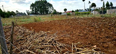 Prime Plot for Sale in Chepkoilel Sogomo in Eldoret - Image 7