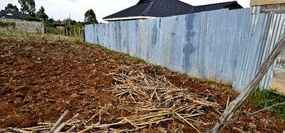 Prime Plot for Sale in Chepkoilel Sogomo in Eldoret - Image 5