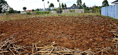Prime Plot for Sale in Chepkoilel Sogomo in Eldoret - Image 2