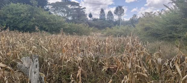 Quarter Acre Plot for Sale in Ngong, Ololua Near Olkeri.