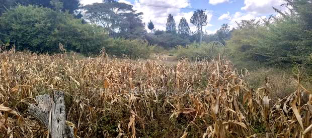 Quarter Acre Plot for Sale in Ngong, Ololua Near Olkeri.