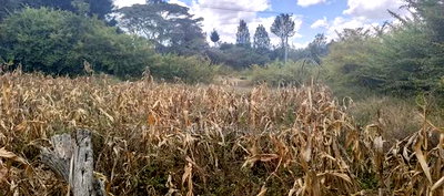 Quarter Acre Plot for Sale in Ngong, Ololua Near Olkeri. - Image 1
