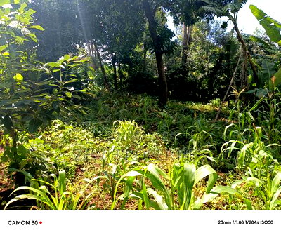 1/8 Acre Ngong - Image 4