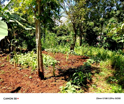 1/8 Acre Ngong - Image 3