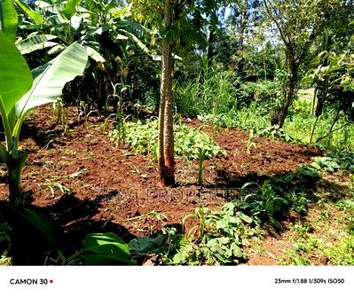 1/8 Acre Ngong - Image 1