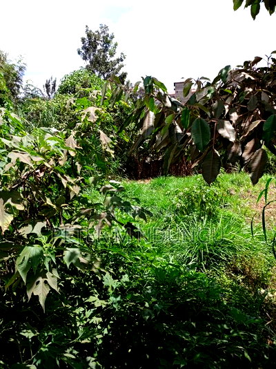 Kiamumbi Pime 100*100, Title - Image 4