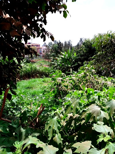 Kiamumbi Pime 100*100, Title - Image 8