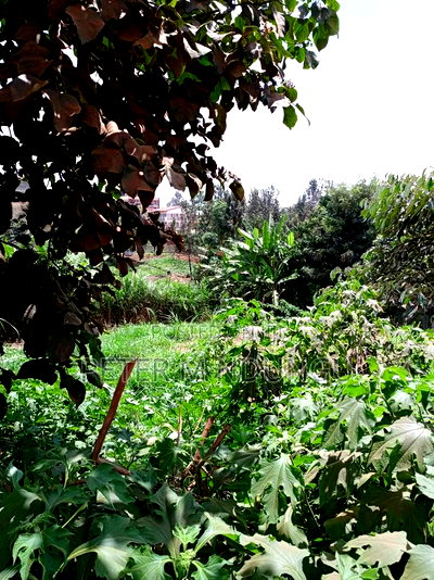 Kiamumbi Pime 100*100, Title - Image 10