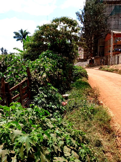 Kiamumbi Pime 100*100, Title - Image 2