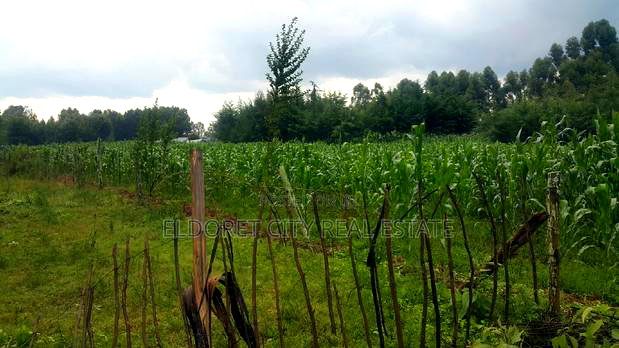 Several Plots Kapseret 1/4