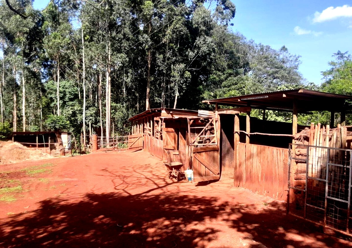 Garden Oasis on 1/2 Acre
