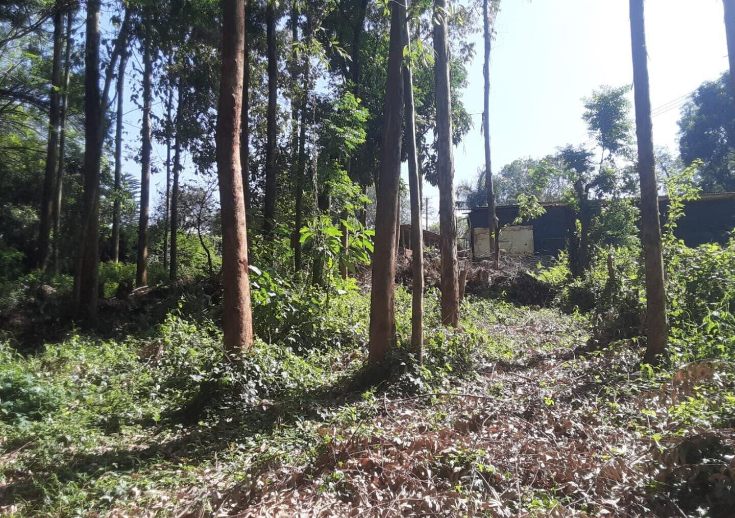 Garden Oasis on 1/2 Acre