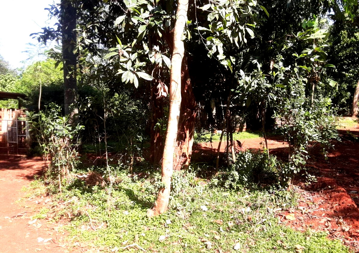 Garden Oasis on 1/2 Acre