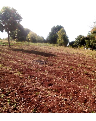3-Acre Plot in Riara Ridge for KSh 60M