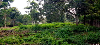 2-Acre Plot in Spring Valley at KSh 420M