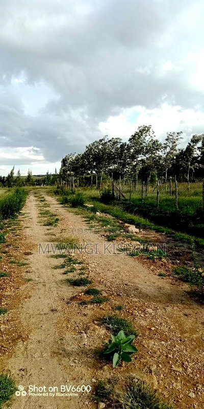 Plots for Sale in Kiserian - Image 7