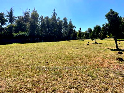 Prime 0.15 Ha (1/4 + 1/8th Acre) Plot in Kikuyu, Thogoto - Image 7
