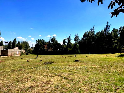 Prime 0.15 Ha (1/4 + 1/8th Acre) Plot in Kikuyu, Thogoto - Image 11