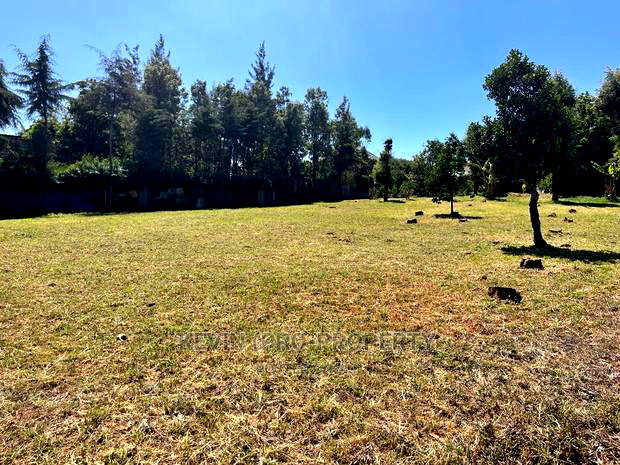 Prime 0.15 Ha (1/4 + 1/8th Acre) Plot in Kikuyu, Thogoto