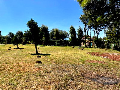 Prime 0.15 Ha (1/4 + 1/8th Acre) Plot in Kikuyu, Thogoto - Image 8