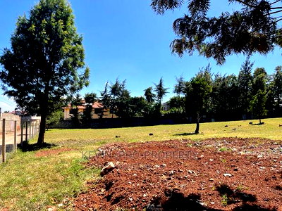 Prime 0.15 Ha (1/4 + 1/8th Acre) Plot in Kikuyu, Thogoto - Image 13