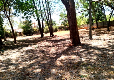 1 Acre Thigiri Plot with Garden