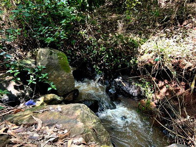 Banana Hill 1.4acre River Frontage - Image 11