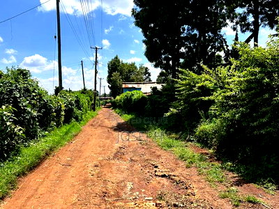 Banana Hill 1.4acre River Frontage - Image 8