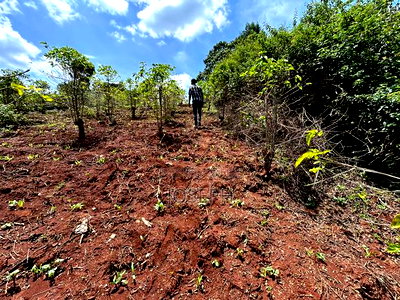 Banana Hill 1.4acre River Frontage - Image 15