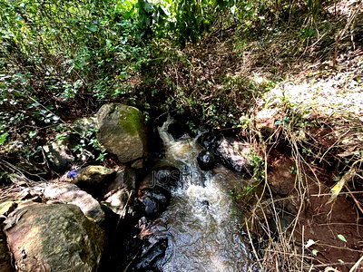 Banana Hill 1.4acre River Frontage - Image 10