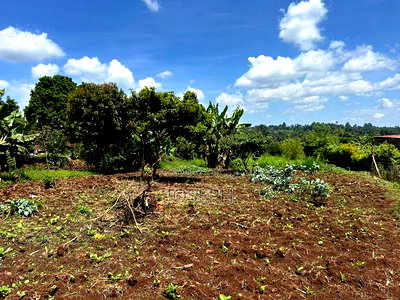 Banana Hill 1.4acre River Frontage - Image 5