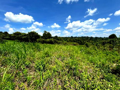 Banana Hill 1.4acre River Frontage - Image 4