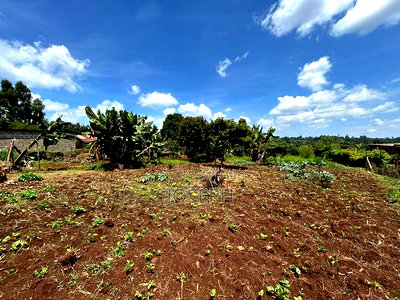 Banana Hill 1.4acre River Frontage - Image 2